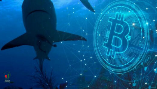 بیت کوین در پنج هفته گذشته ۵۲هزار واحد جدید خریداری کرده‌اند